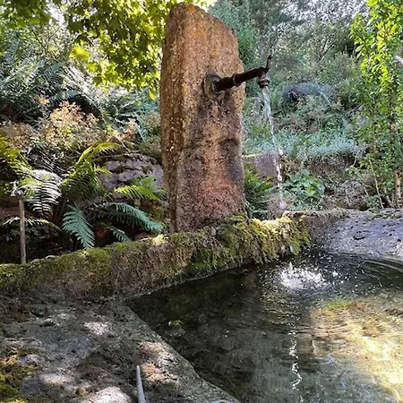 The Enchanted With Jacuzzi *