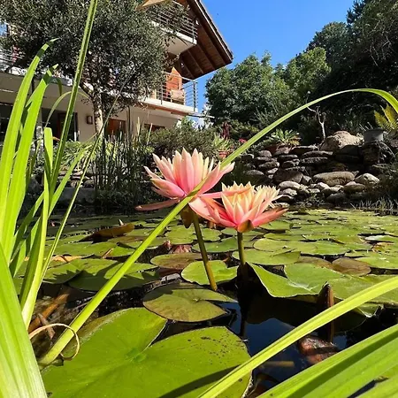 The Enchanted With Jacuzzi * Heimberg
