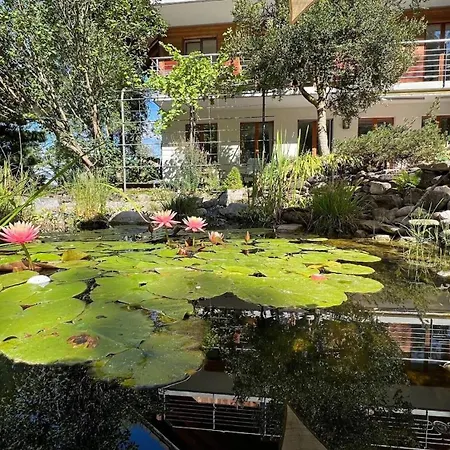 Ferienhaus The Enchanted With Jacuzzi